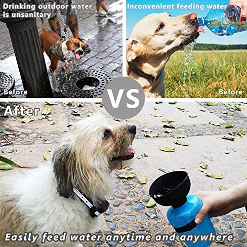 Pet Outdoor Foldable Bottle for Camping & Hiking