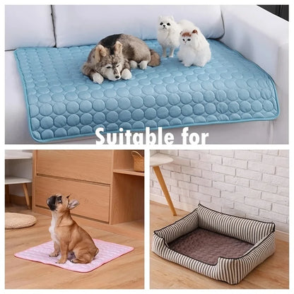 Round Pet Bed – Soft & Plush Winter Sleeping Bed for Dogs & Cats
