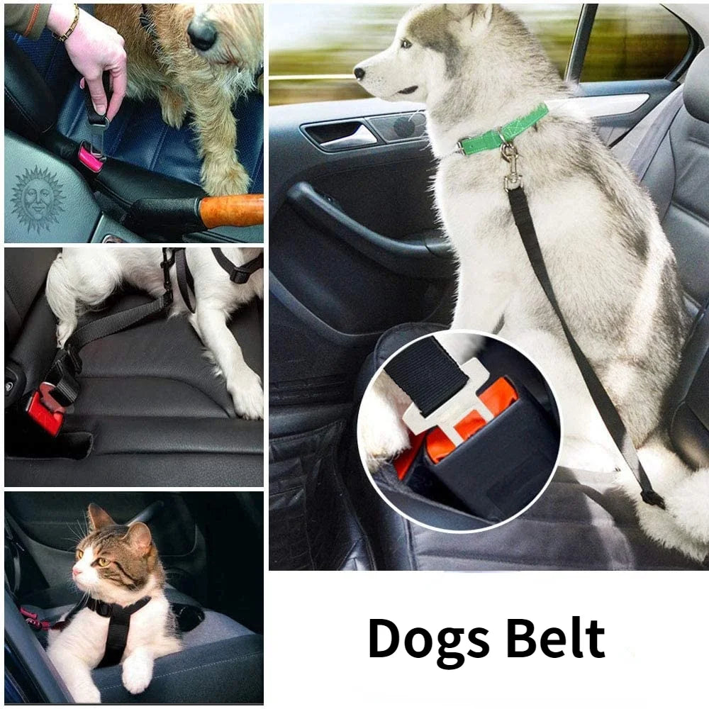 Adjustable Pet Car Seat Belt – Safety Harness for Dogs & Cats