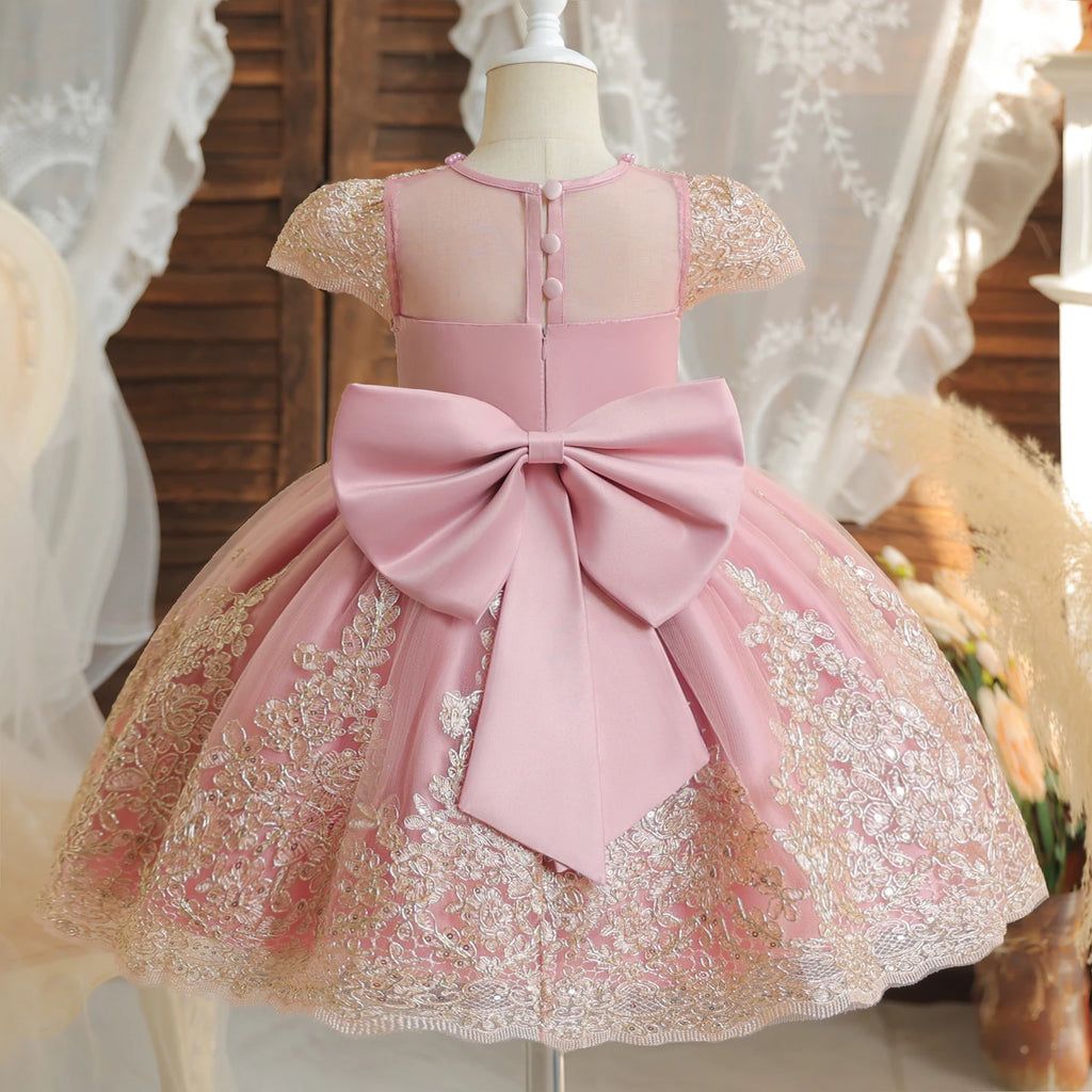 Princess Party Dress – Lace Embroidery with Ruffles