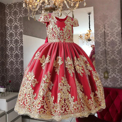 Elegant Embroidered Lace Dress for Girls