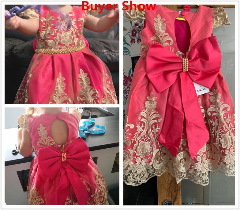 Elegant Embroidered Lace Dress for Girls