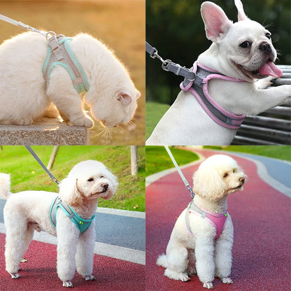 Adjustable Cat & Dog Harness Leash Set: Perfect for Outdoor Adventures