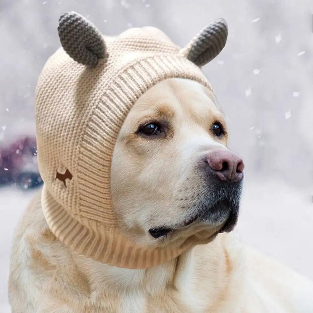 Cozy Calm: Noise-Reducing Dog Ear Muffs for Winter