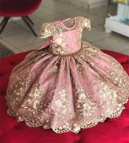 Elegant Embroidered Lace Dress for Girls