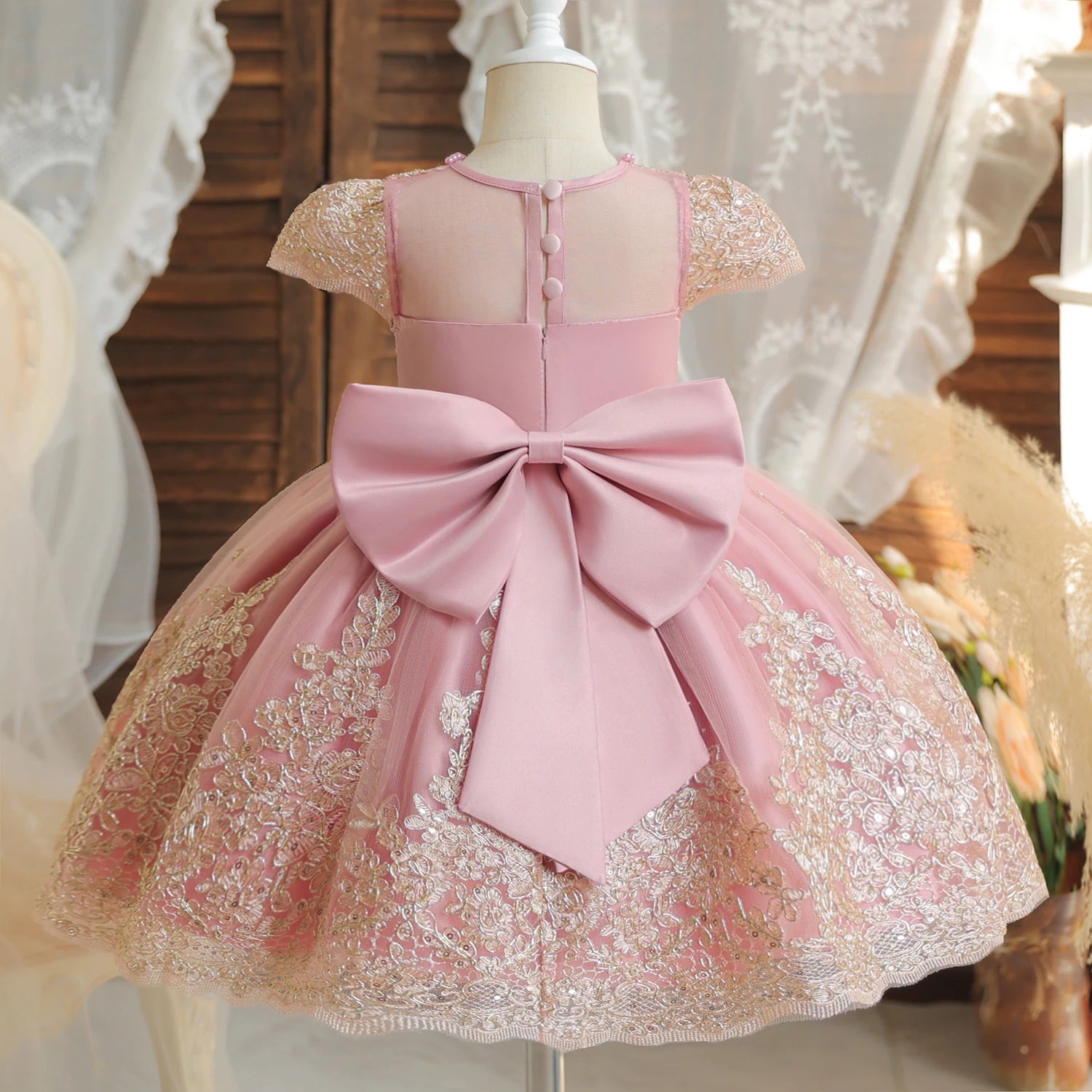 Princess Party Dress – Lace Embroidery with Ruffles