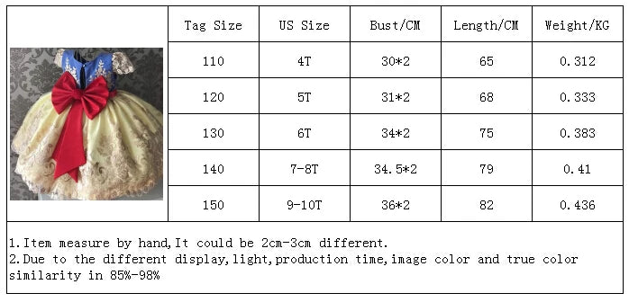 Elegant Embroidered Lace Dress for Girls