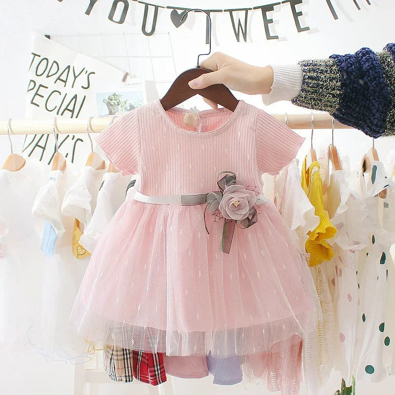 Baby Girl Birthday Party Flower Mesh Dress