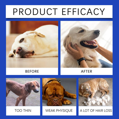 Dog Joint Supplement – Relief & Nutrition for Healthy Joints