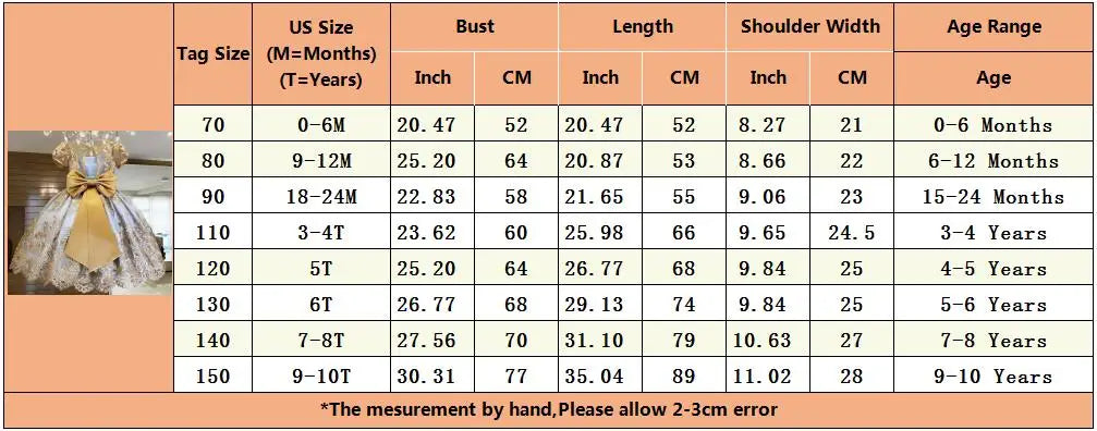 Elegant Embroidered Lace Dress for Girls