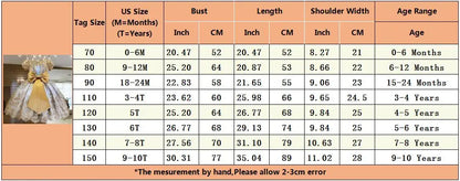 Elegant Embroidered Lace Dress for Girls