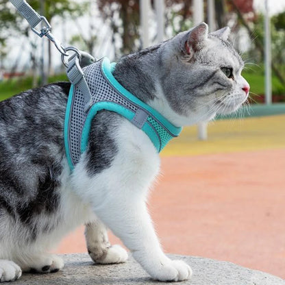 Adjustable Cat & Dog Harness Leash Set: Perfect for Outdoor Adventures