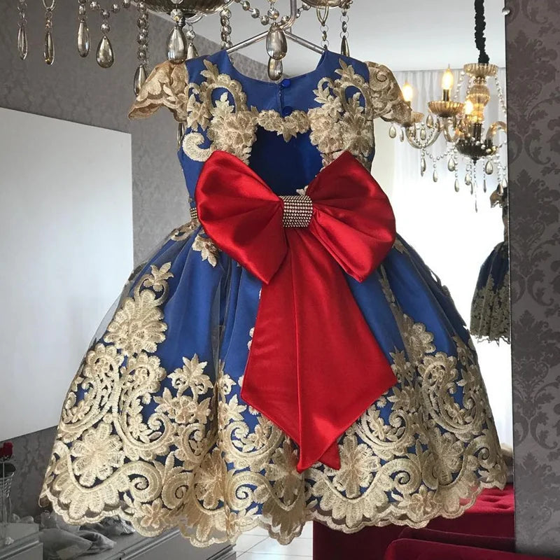 Elegant Embroidered Lace Dress for Girls