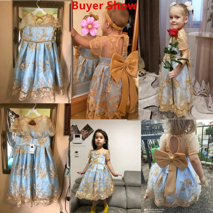 Elegant Embroidered Lace Dress for Girls