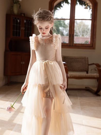 Girls Luxury Party & Wedding Dress Set