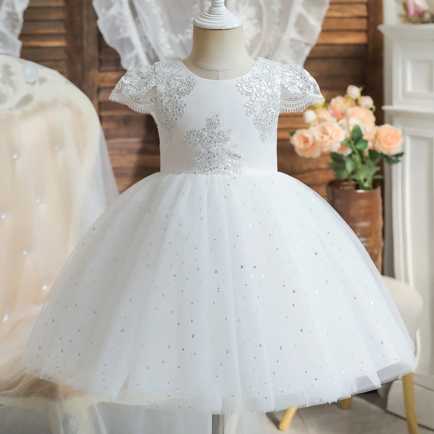 Princess Party Dress – Lace Embroidery with Ruffles