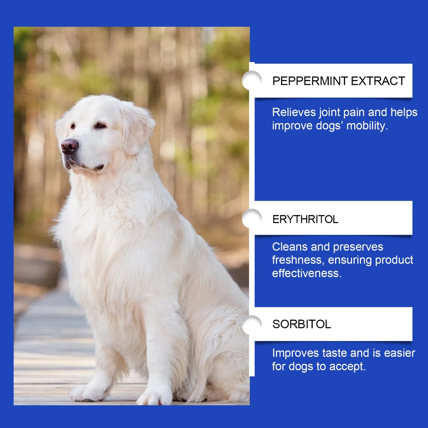 Dog Joint Supplement – Relief & Nutrition for Healthy Joints