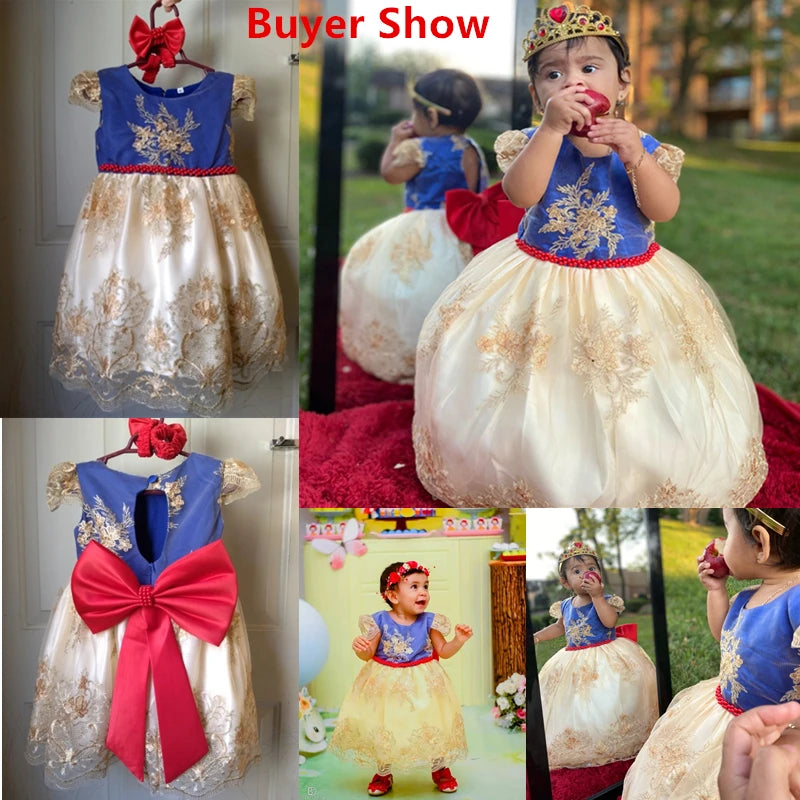 Elegant Embroidered Lace Dress for Girls