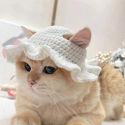 Charming Knitted Cat Hat: Perfect for Autumn, Winter, and Photo Ops