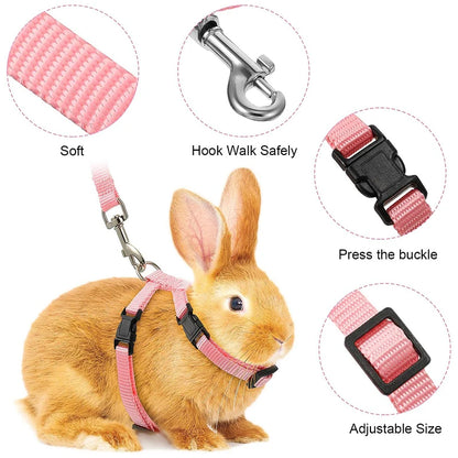 Affordable Adventure: Adjustable Harness & Leash Set for Pets