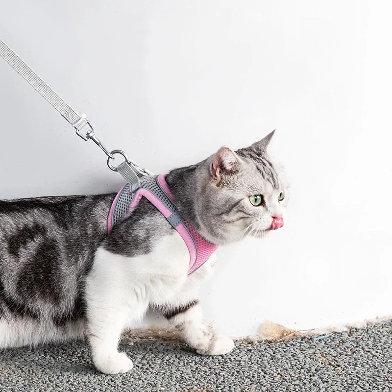 Adjustable Cat & Dog Harness Leash Set: Perfect for Outdoor Adventures