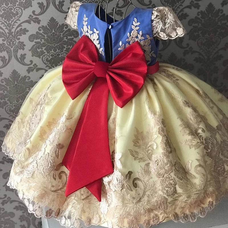 Elegant Embroidered Lace Dress for Girls