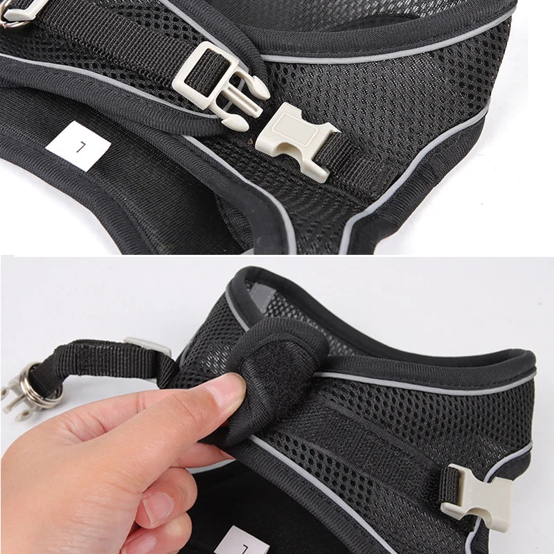 Adjustable Cat & Dog Harness Leash Set: Perfect for Outdoor Adventures