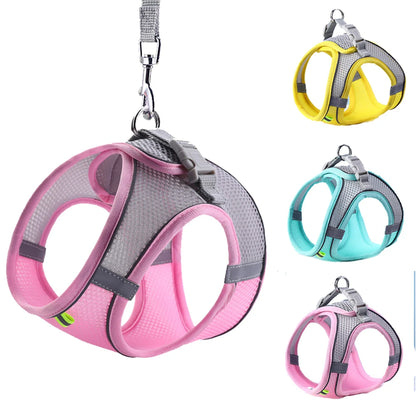 Adjustable Cat & Dog Harness Leash Set: Perfect for Outdoor Adventures