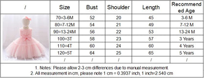 Baby Girl 1st Birthday Dress – Tulle Princess Gown