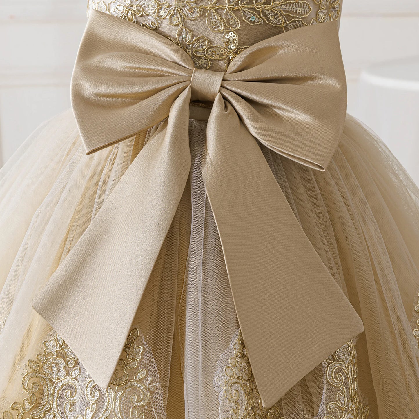 Elegant Embroidered Princess Party Dress