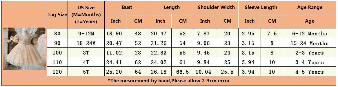 Princess Party Dress – Lace Embroidery with Ruffles