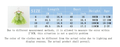 Toddler Girls’ Colorful Butterfly Party Outfit