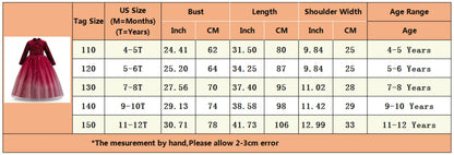 Girls Elegant Lace Wedding & Party Princess Dress