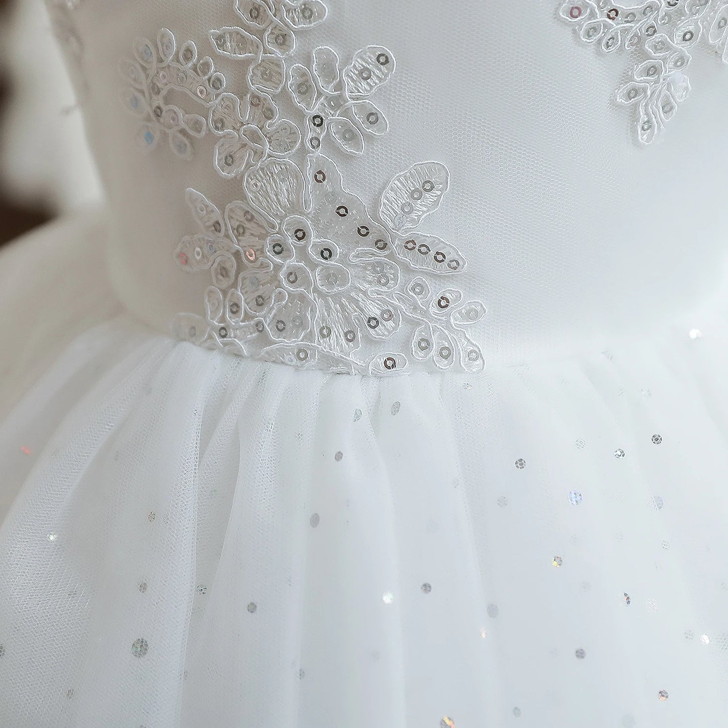 Princess Party Dress – Lace Embroidery with Ruffles