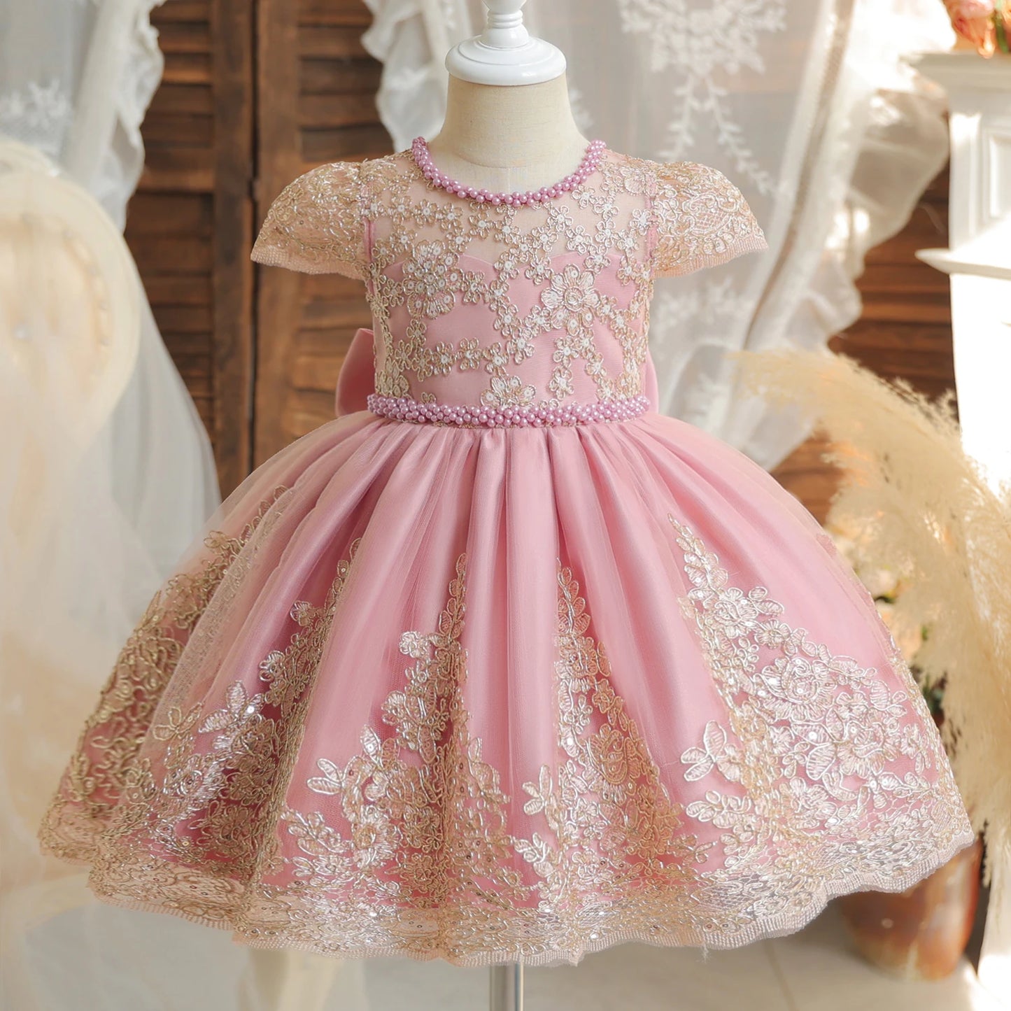 Princess Party Dress – Lace Embroidery with Ruffles