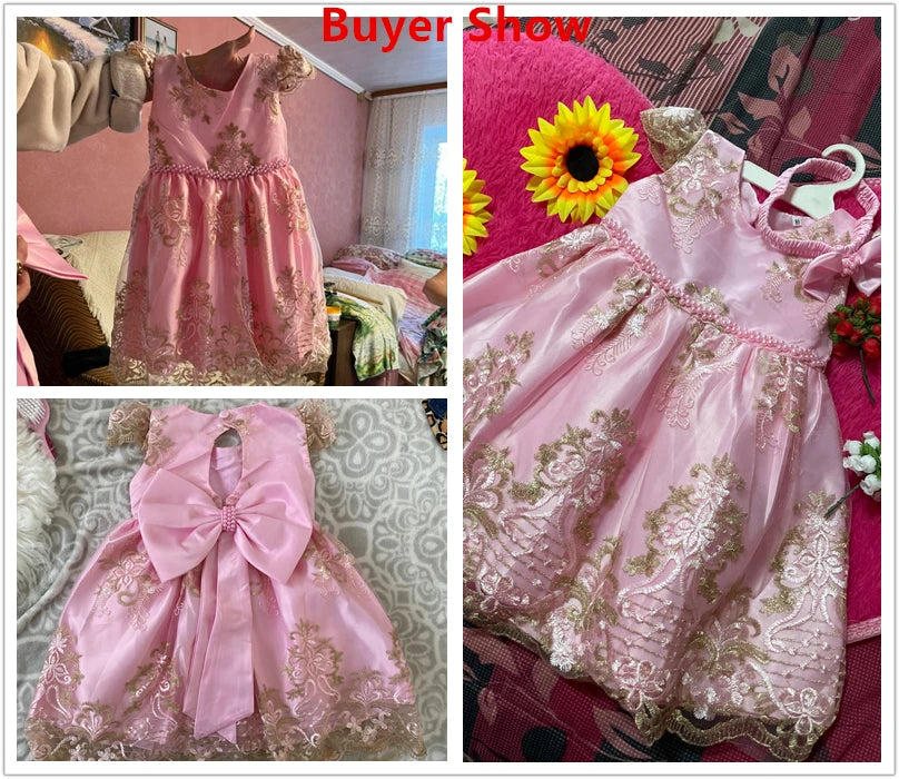 Elegant Embroidered Lace Dress for Girls