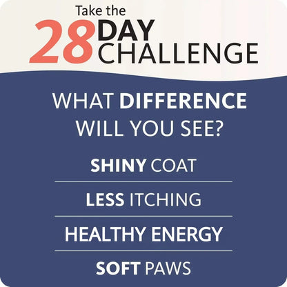 Brilliant 200ml Pure Salmon Oil for Dogs – Natural Omega 21 Fatty Acids, No Chemicals