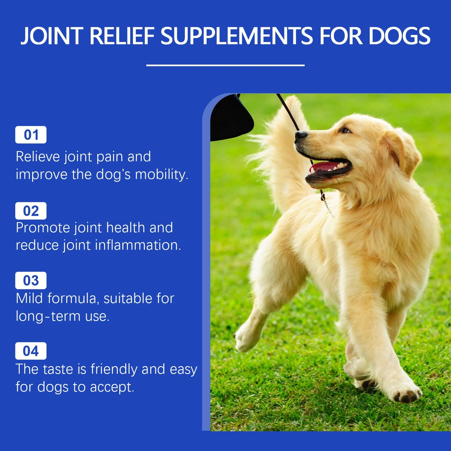 Dog Joint Supplement – Relief & Nutrition for Healthy Joints