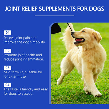 Dog Joint Supplement – Relief & Nutrition for Healthy Joints