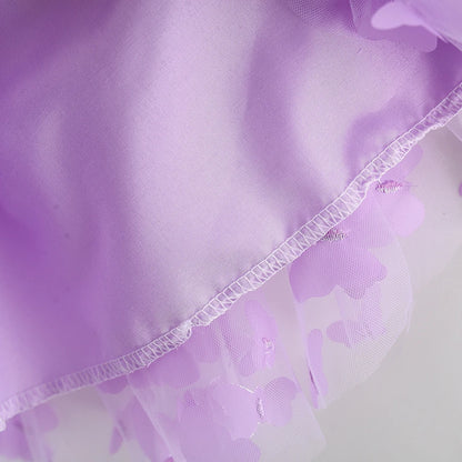 Toddler Girl Embroidered Mesh Party Outfit