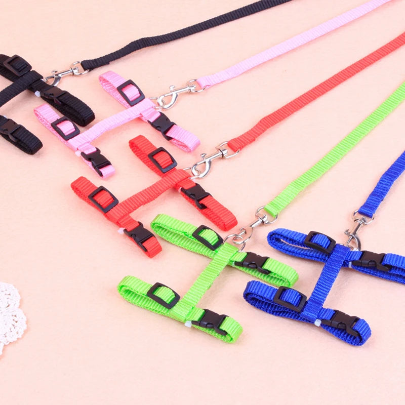 Affordable Adventure: Adjustable Harness & Leash Set for Pets