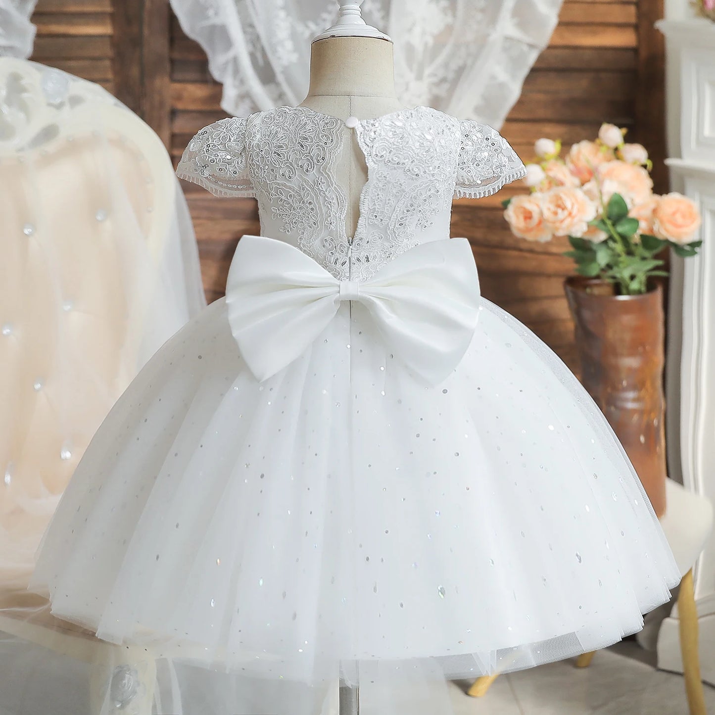 Princess Party Dress – Lace Embroidery with Ruffles