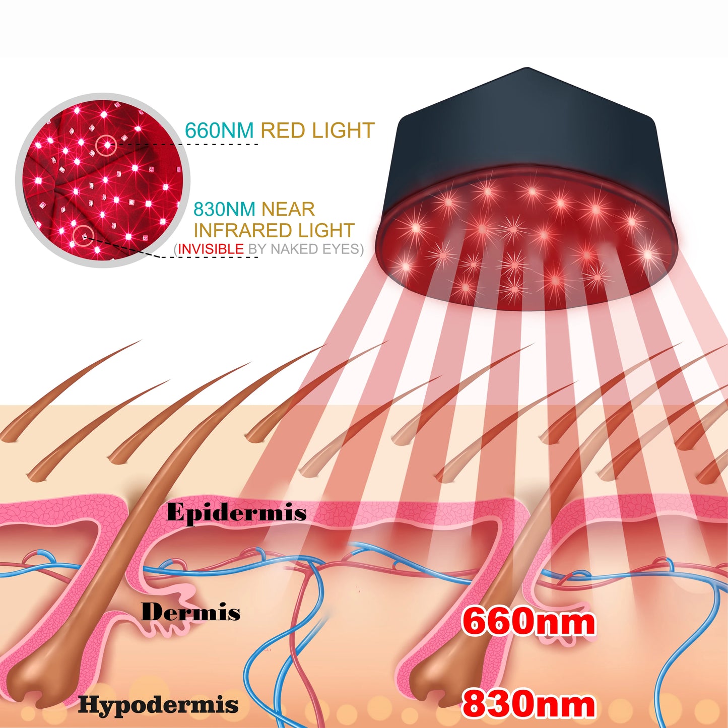 LED Hair Growth Cap – 660nm + 830nm