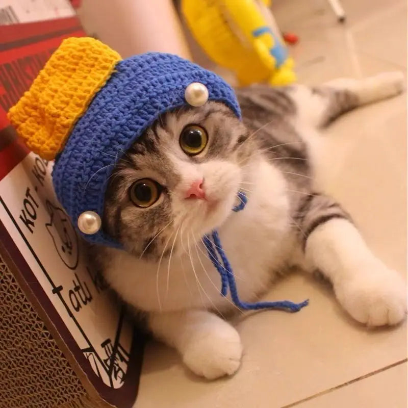 Charming Knitted Cat Hat: Perfect for Autumn, Winter, and Photo Ops