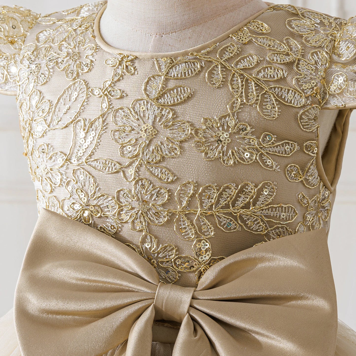 Elegant Embroidered Princess Party Dress