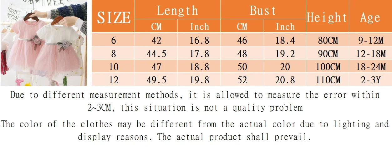 Baby Girl Birthday Party Flower Mesh Dress