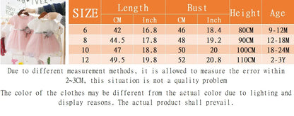 Baby Girl Birthday Party Flower Mesh Dress