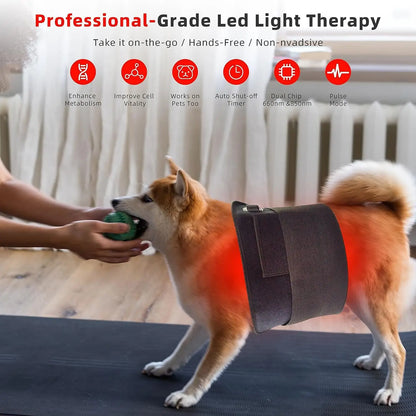 Portable Red Light Therapy Pad – 660nm & 850nm LED for Skin