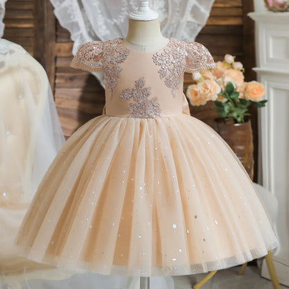 Princess Party Dress – Lace Embroidery with Ruffles