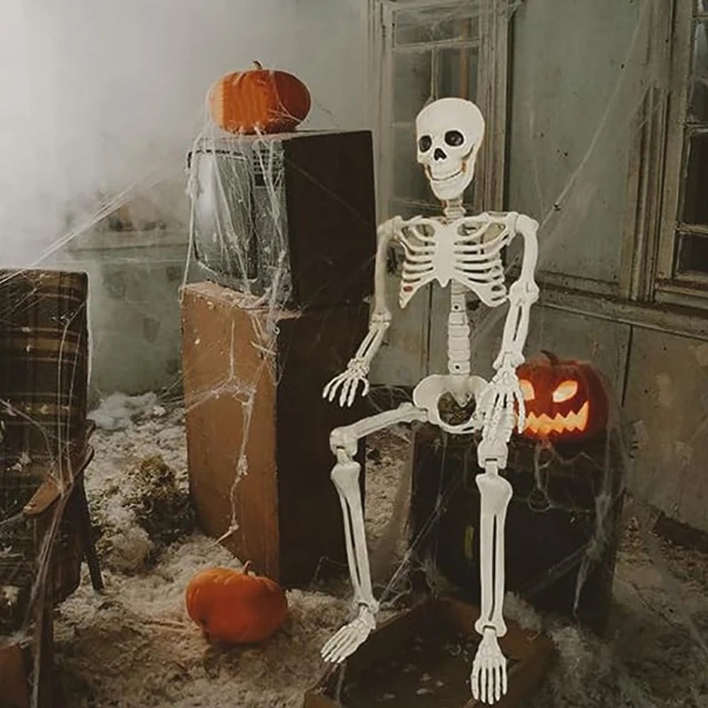 Halloween Skeleton Prop – 3ft Realistic Posable Bone Decor